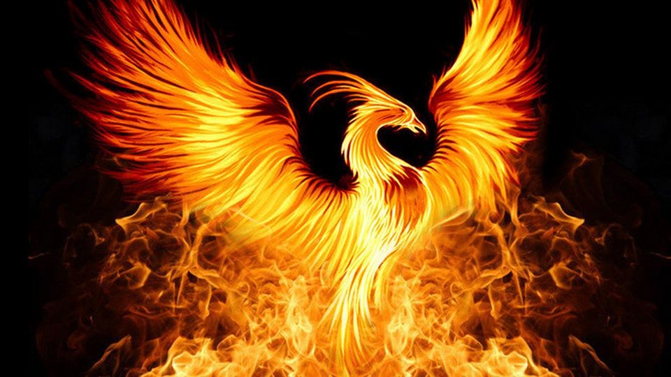 Embody Your Spiritual Magnificence&nbsp;🐦‍🔥